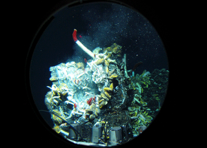 Deep-sea hydrothemal vent