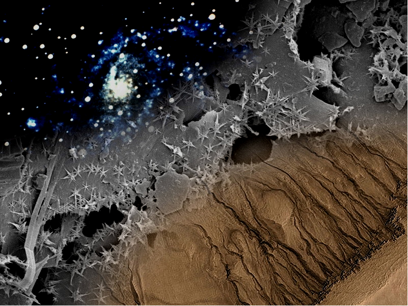 Astrobio Mars microbe composite by Gus Frederick
